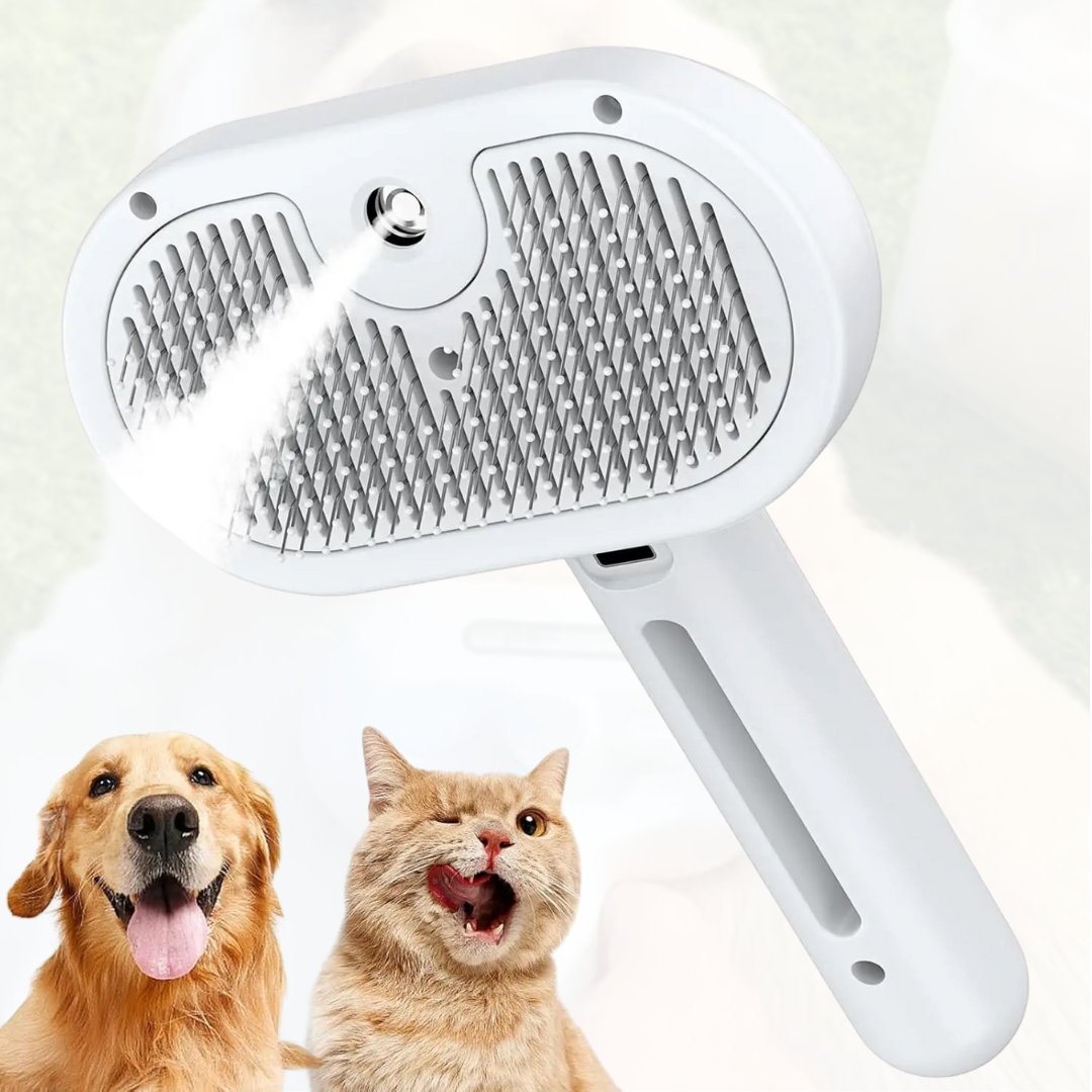 MagieBürste - Mit Leichtigkeit durch Haarausfall!