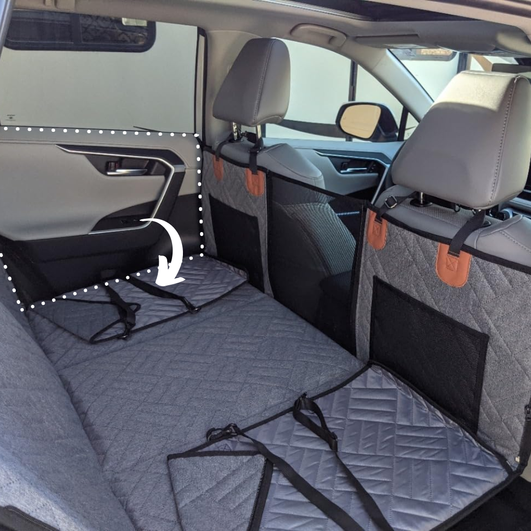 PawRide™ – Sicher. Sauber. Stressfrei.