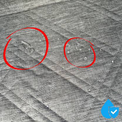 PawRide™ – Sicher. Sauber. Stressfrei.