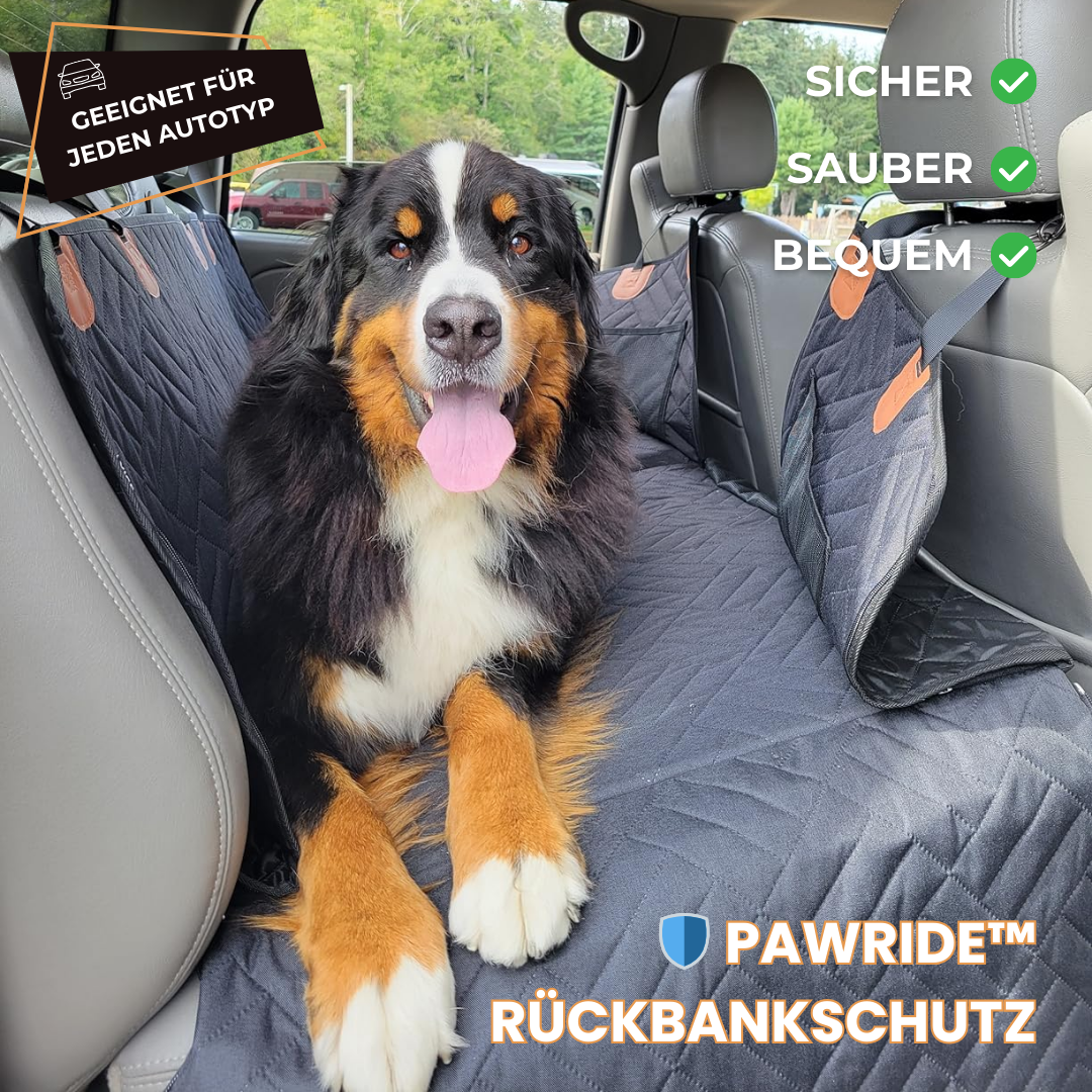 PawRide™ – Sicher. Sauber. Stressfrei.