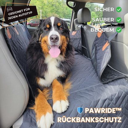 PawRide™ – Sicher. Sauber. Stressfrei.