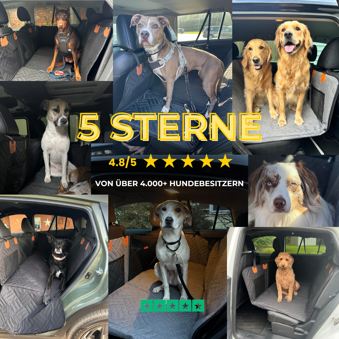 PawRide™ – Sicher. Sauber. Stressfrei.