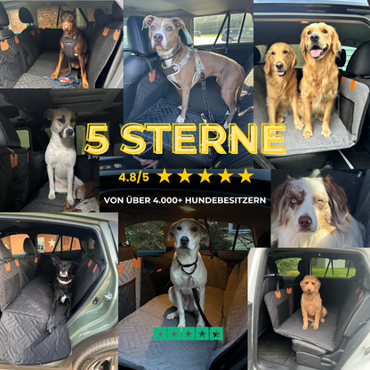 PawRide™ – Sicher. Sauber. Stressfrei.