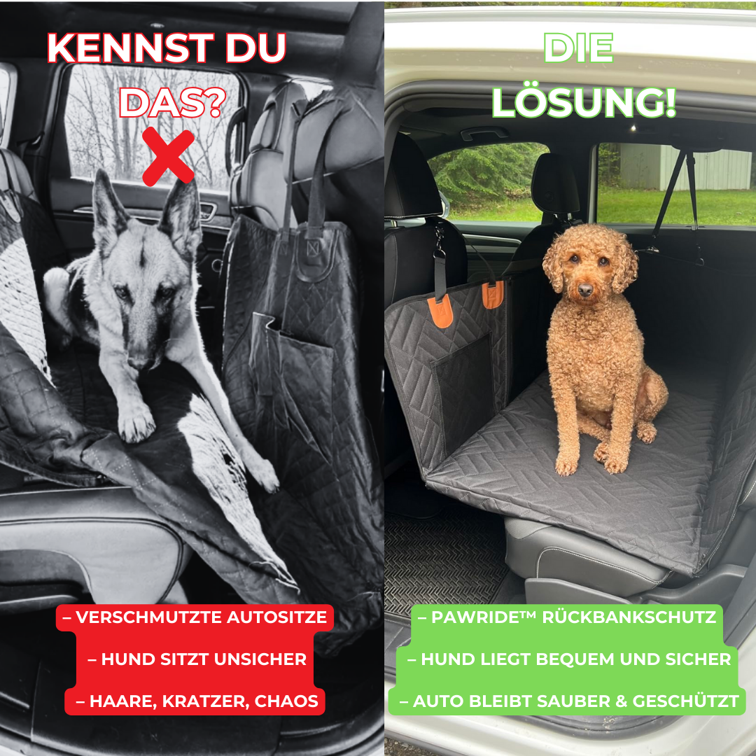PawRide™ – Sicher. Sauber. Stressfrei.